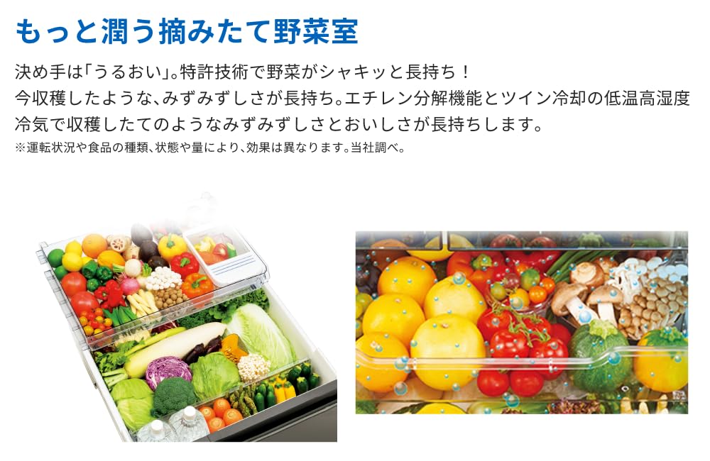 Amazon.co.jp: 東芝 VEGETA冷蔵庫 GR-Y510FH(EW) 509L グランホワイト
